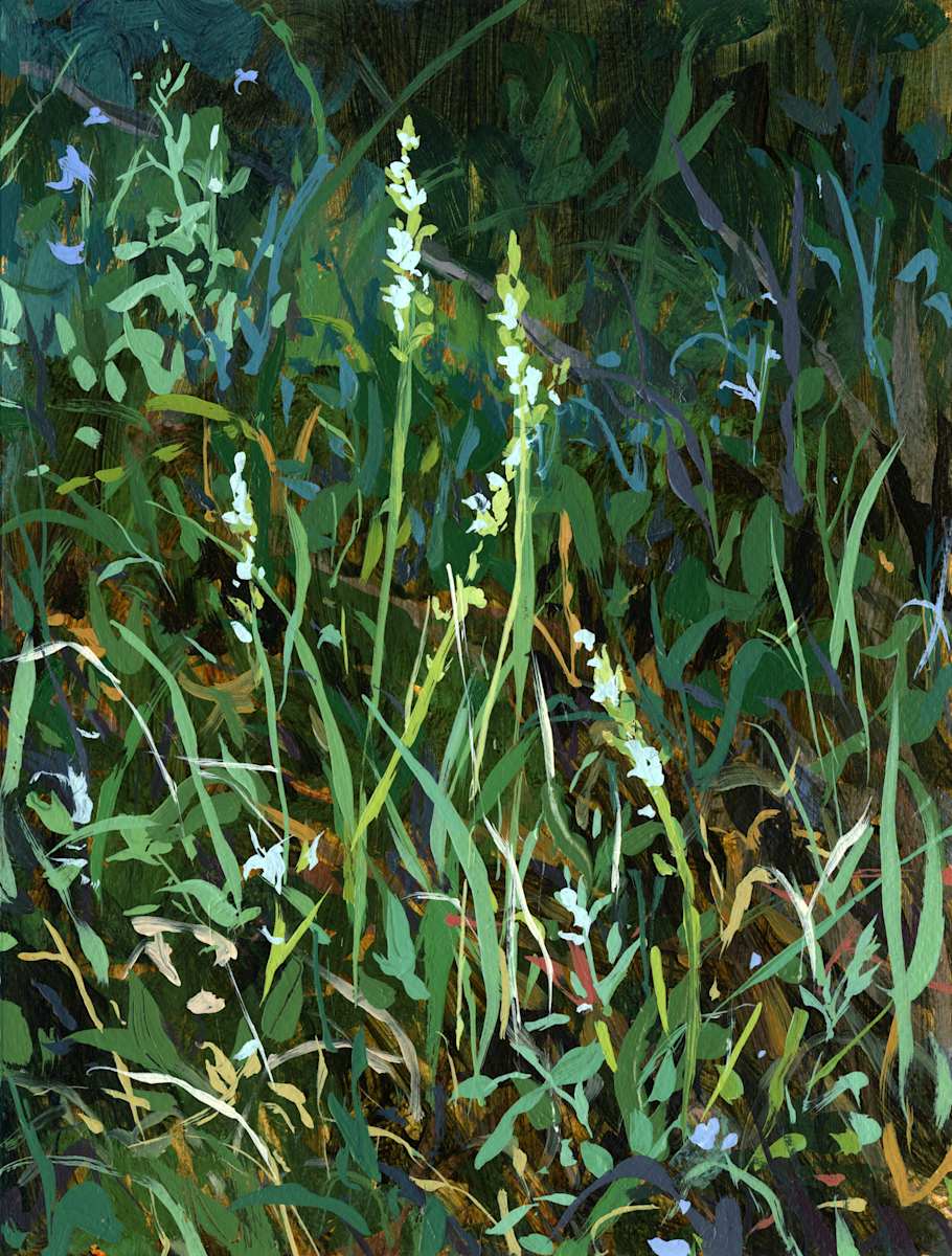 Weedy 8 by Jennifer L Mohr, Image 1.