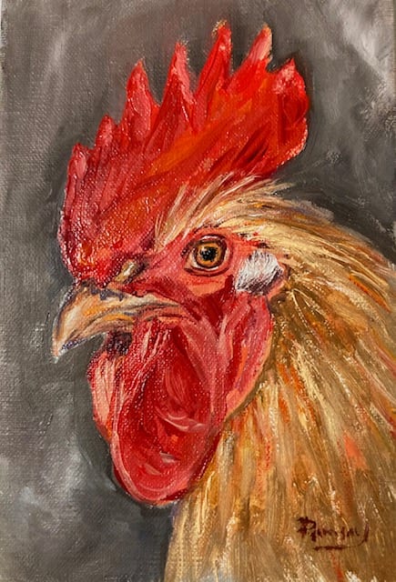 Beauregard "Buff" Orpington by Salina Ramsay 