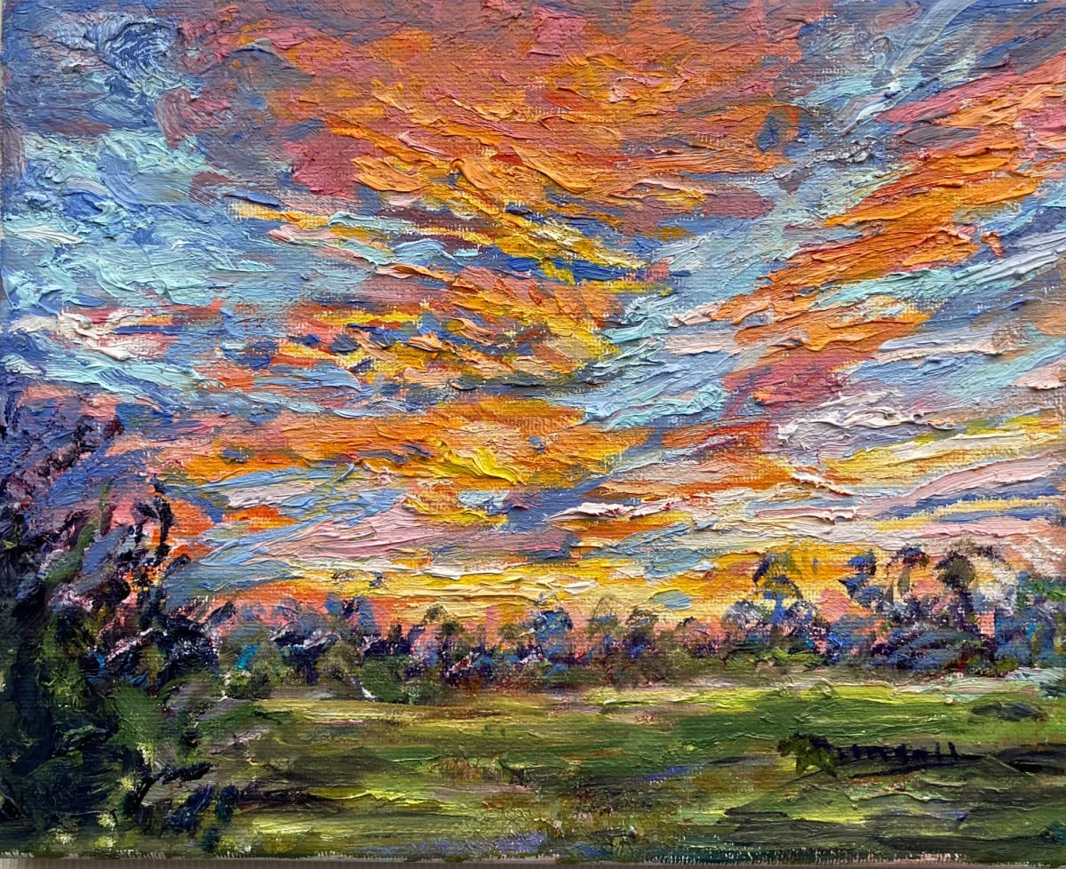 Brilliant Blaze Sunset by Salina Ramsay 