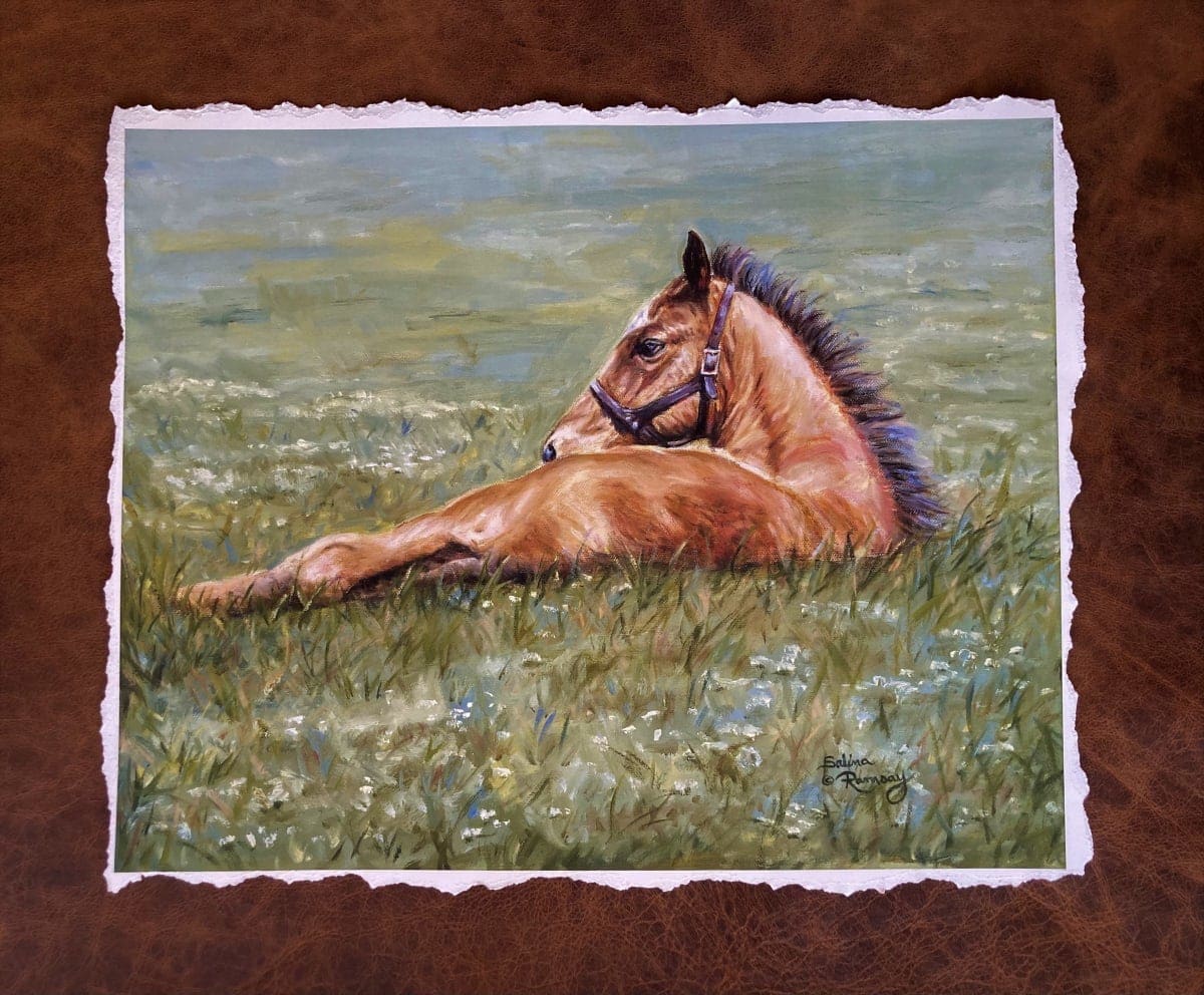 First Foal (Giclee) by Salina Ramsay  Image: First Foal Giclee