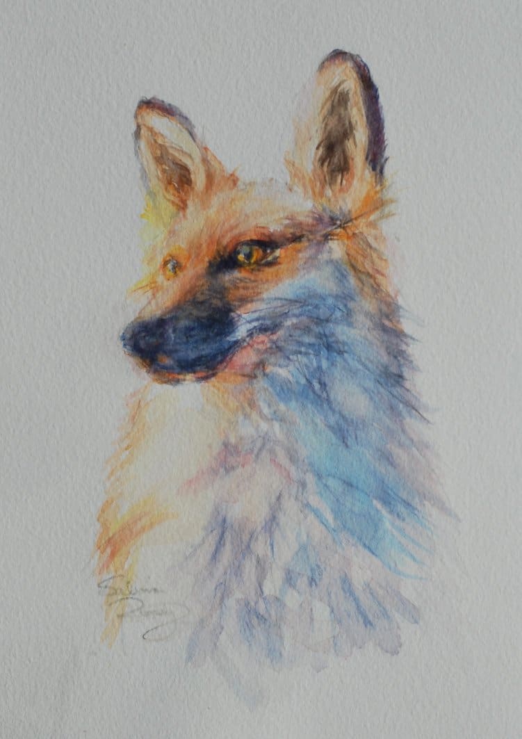 Gaze, Image 1.