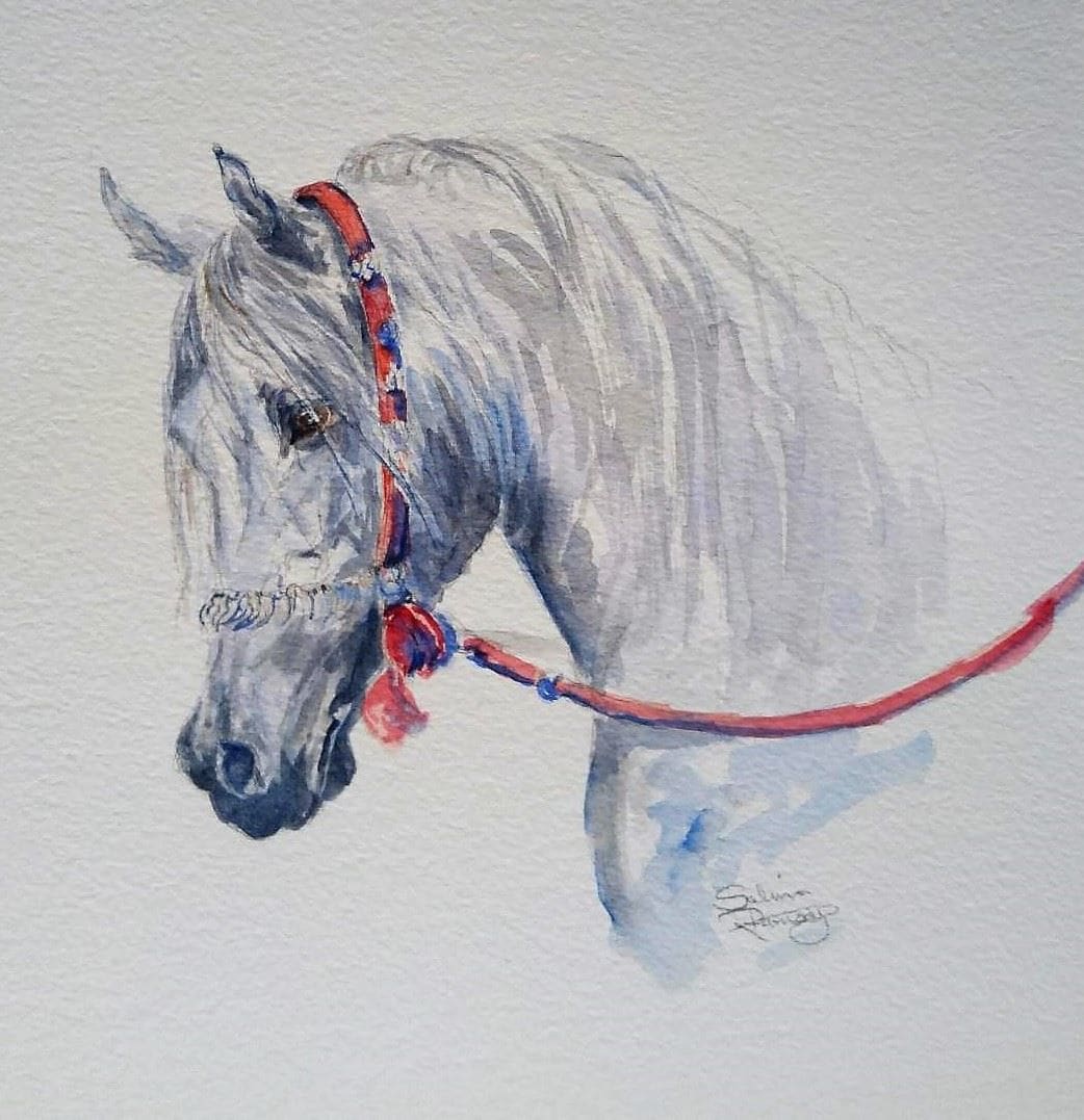 Grey Arab 