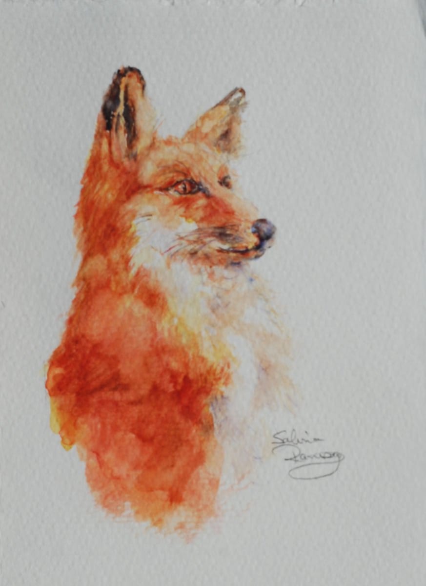 Reynard, Image 1.