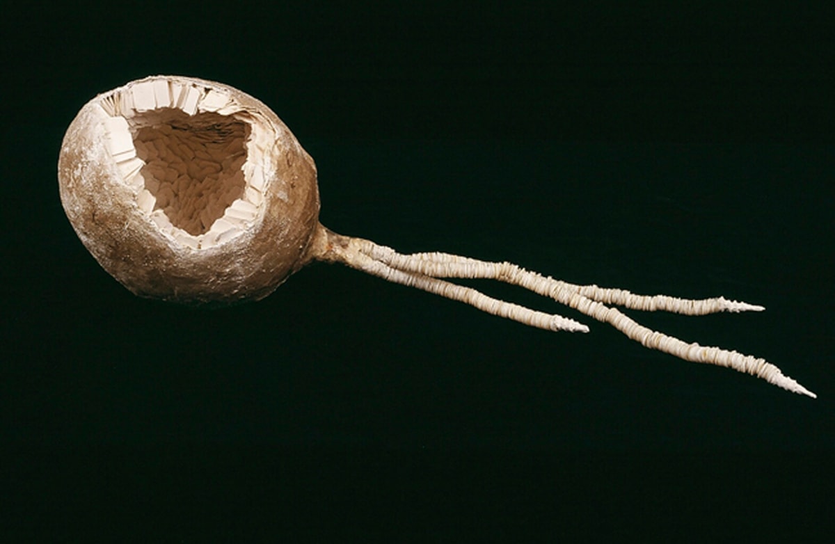Chinati, Image 1.