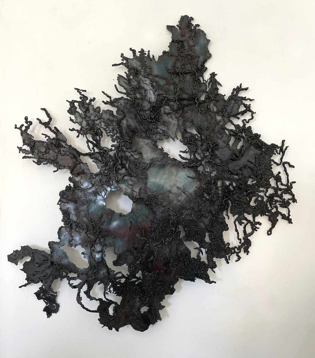 Welded Drawing #24 by Marieken Cochius  Image: Welded Drawing #24