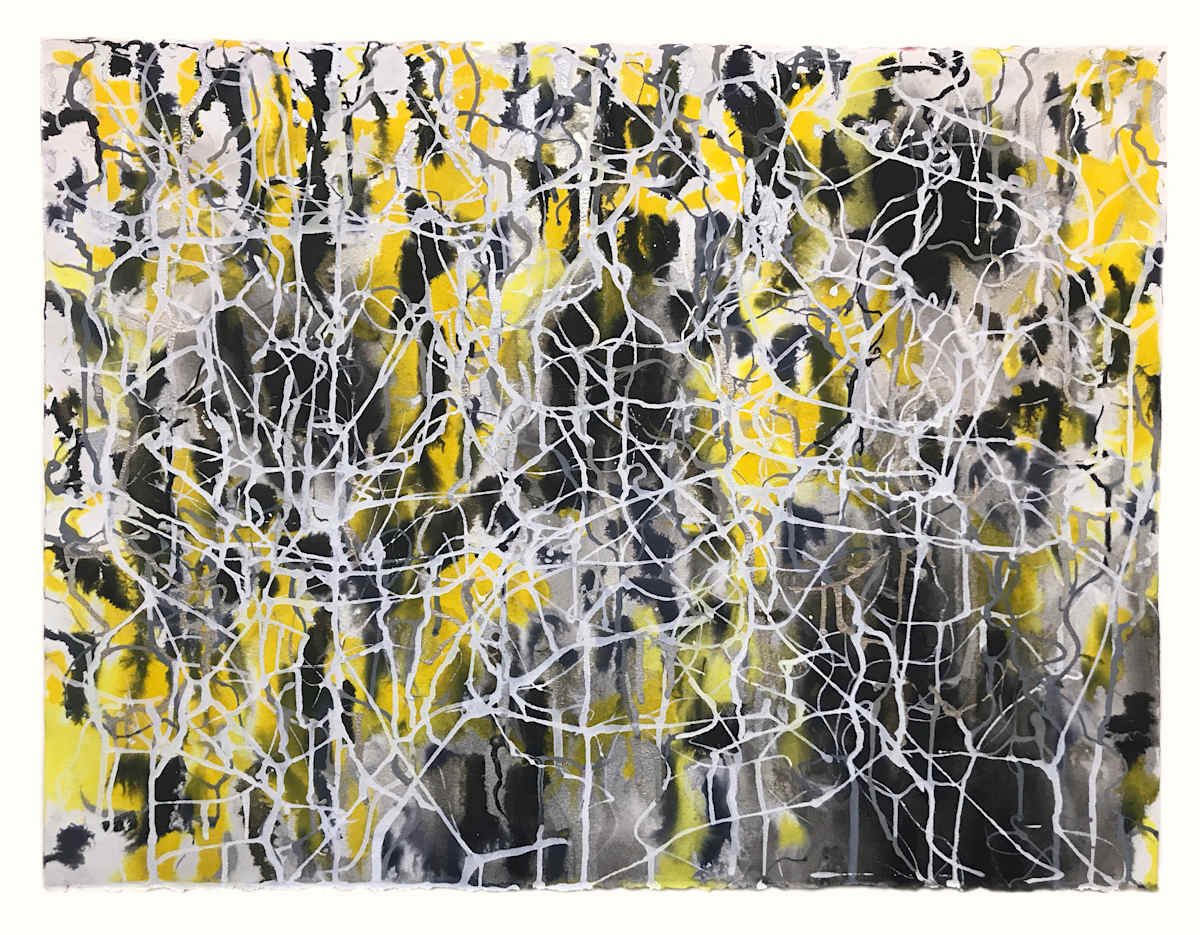 Frequency #15, Image 1.