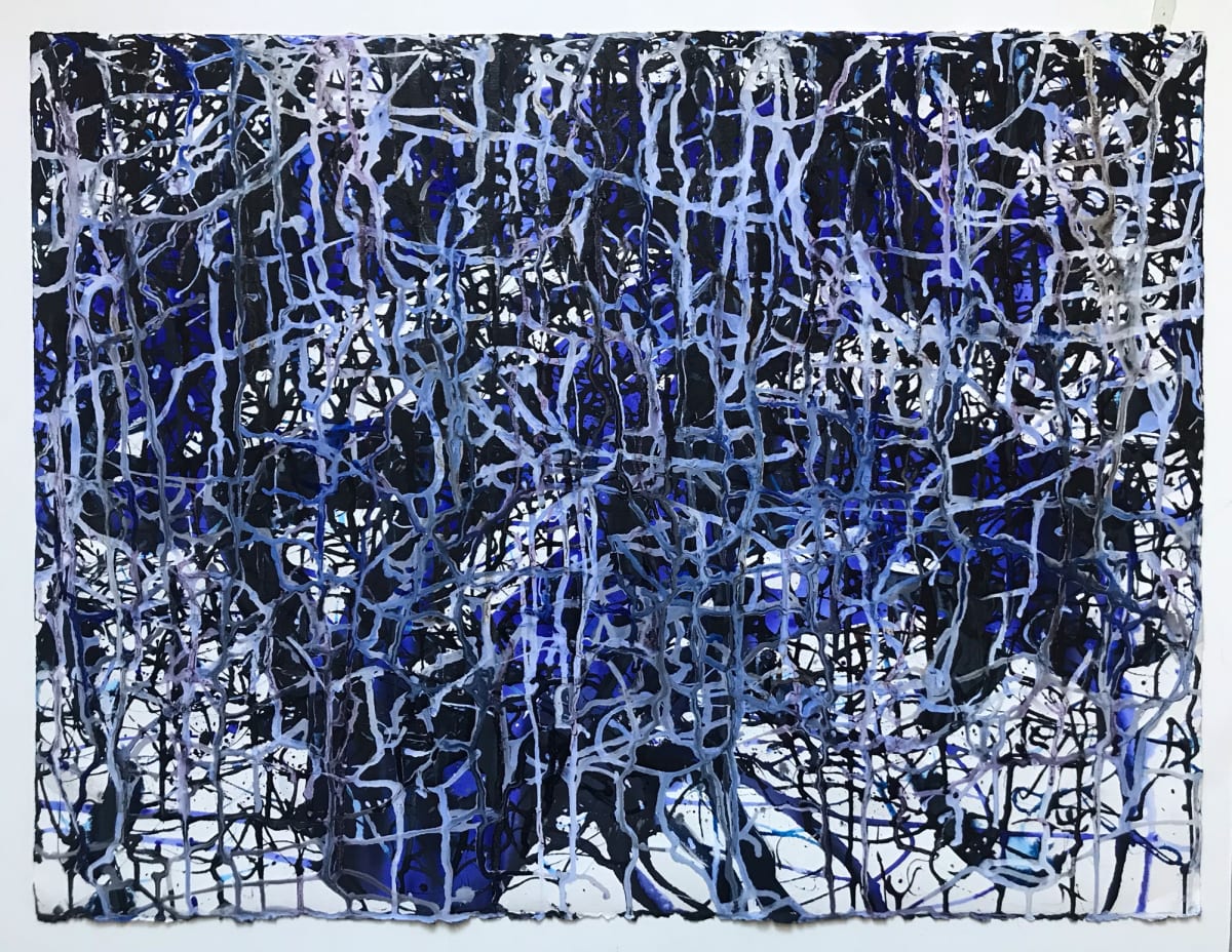 Frequency #22, Image 1.