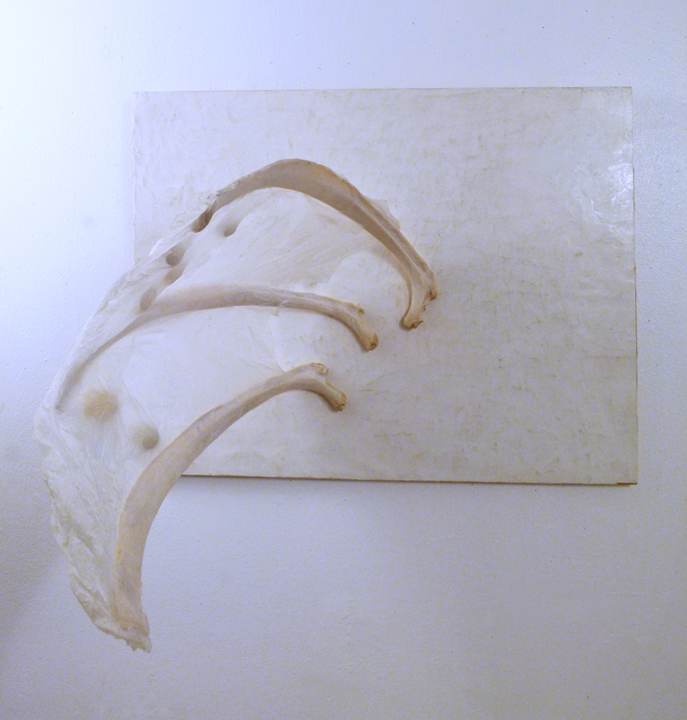 Safety, Image 1.