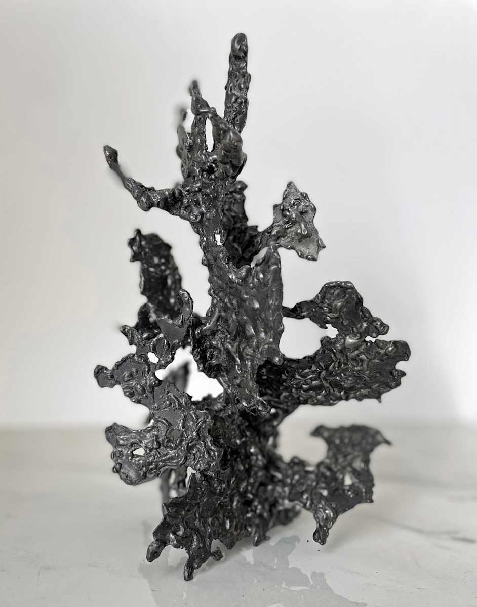 XDB by Marieken Cochius, Image 1.