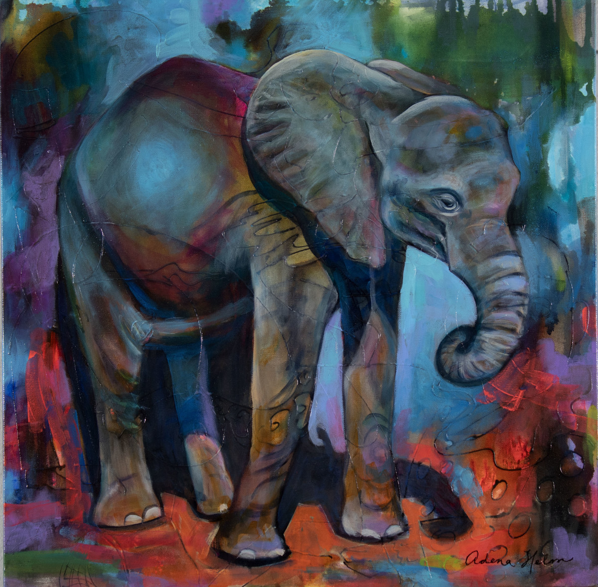 Baby Jumbo by Adena  Helm Art 