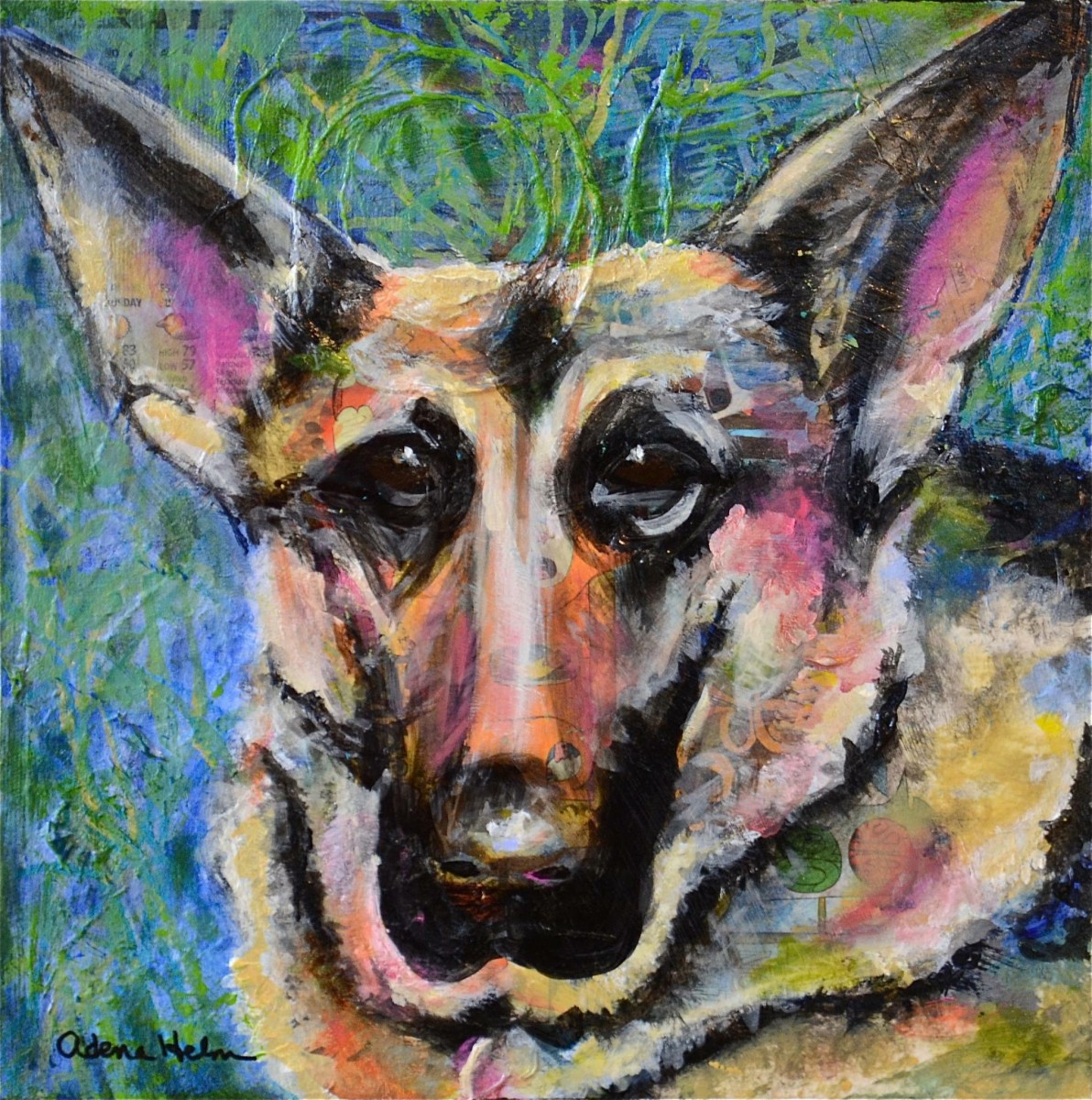 Suzy GSD by Adena  Helm Art 