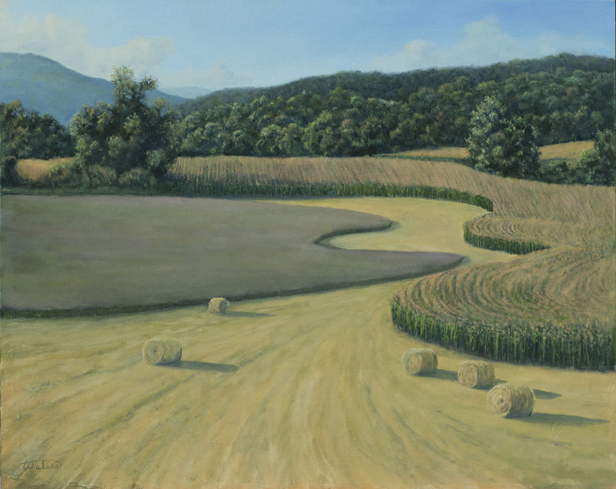 A Farmer's Art by Thomas Waters, Image 1.