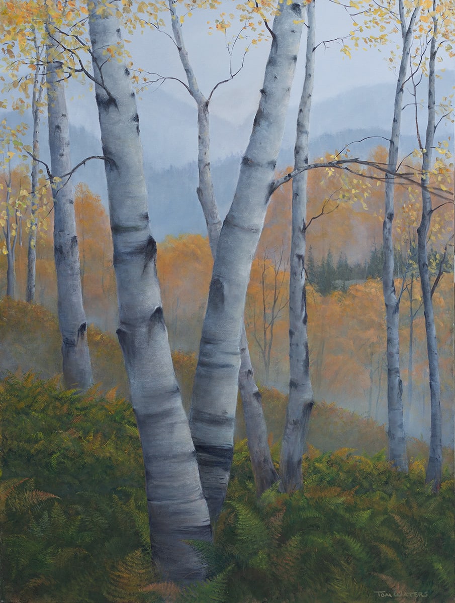 After the Rain by Thomas Waters, Image 1.