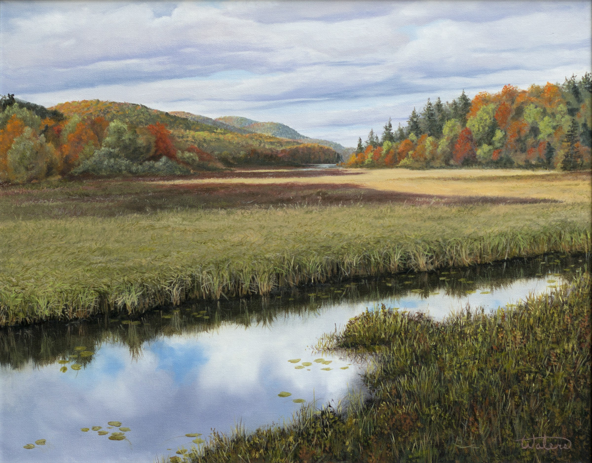 Autumn Marsh, Underhill Flats Vermont by Thomas Waters 