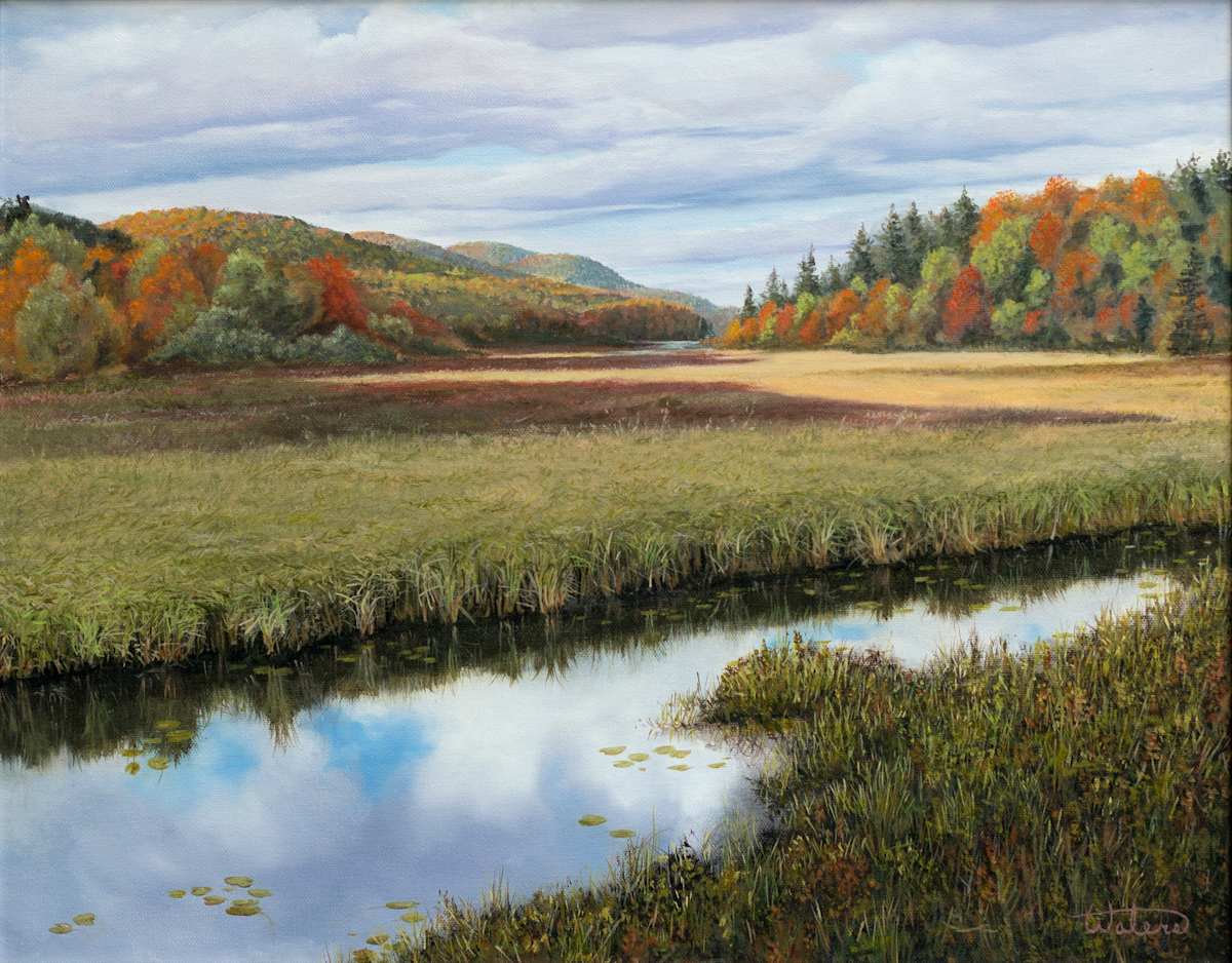 Autumn Marsh, Underhill Flats Vermont by Thomas Waters, Image 1.