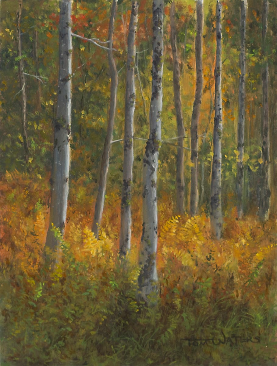 Autumn Woods by Thomas Waters 