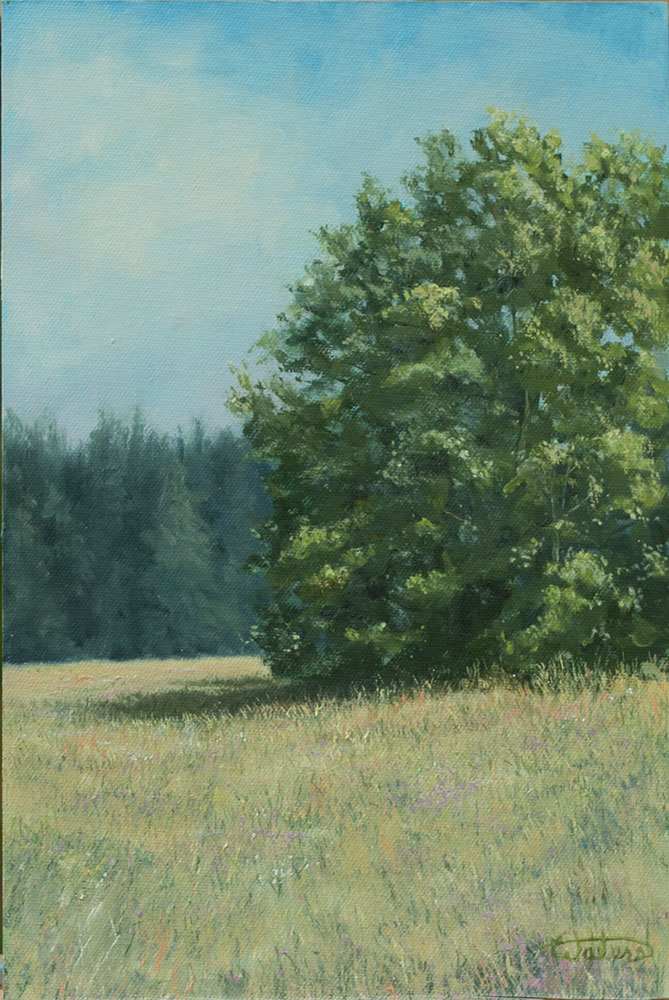 Barber Farm Fields by Thomas Waters, Image 1.
