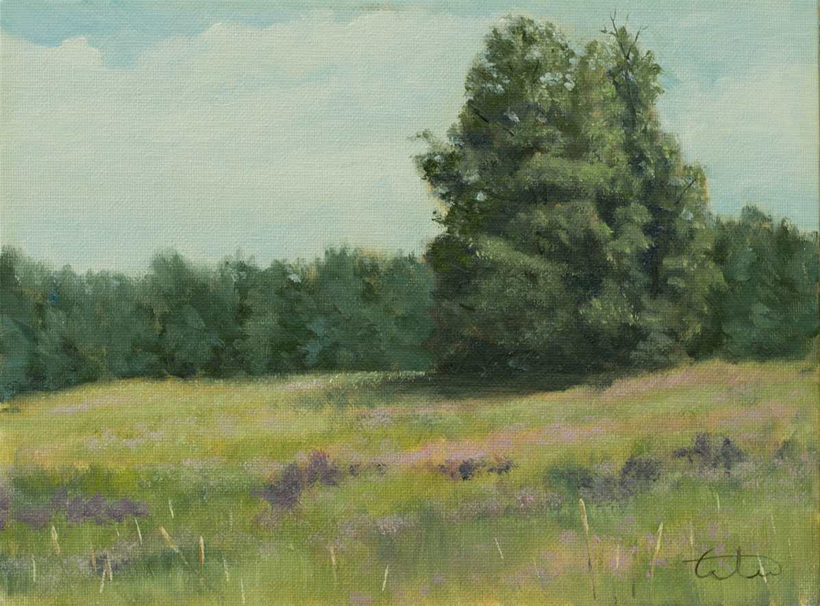Barber Farm Fields Study - Plein Air by Thomas Waters, Image 1.