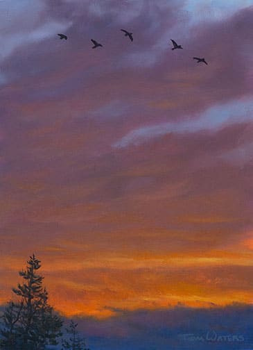 Evening Flight by Thomas Waters 