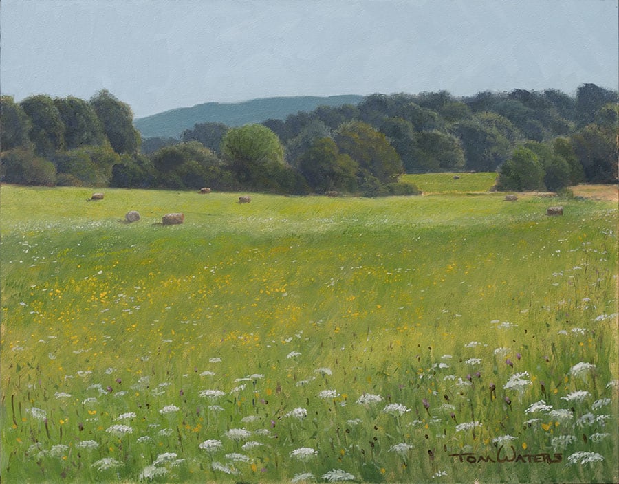 Fields & Lace by Thomas Waters, Image 1.
