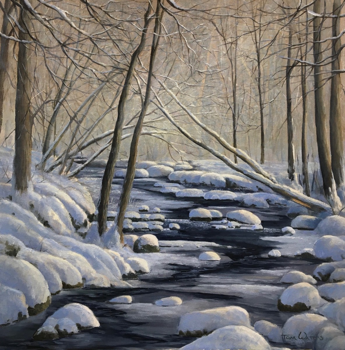 Snowy Woodland Stream by Thomas Waters 