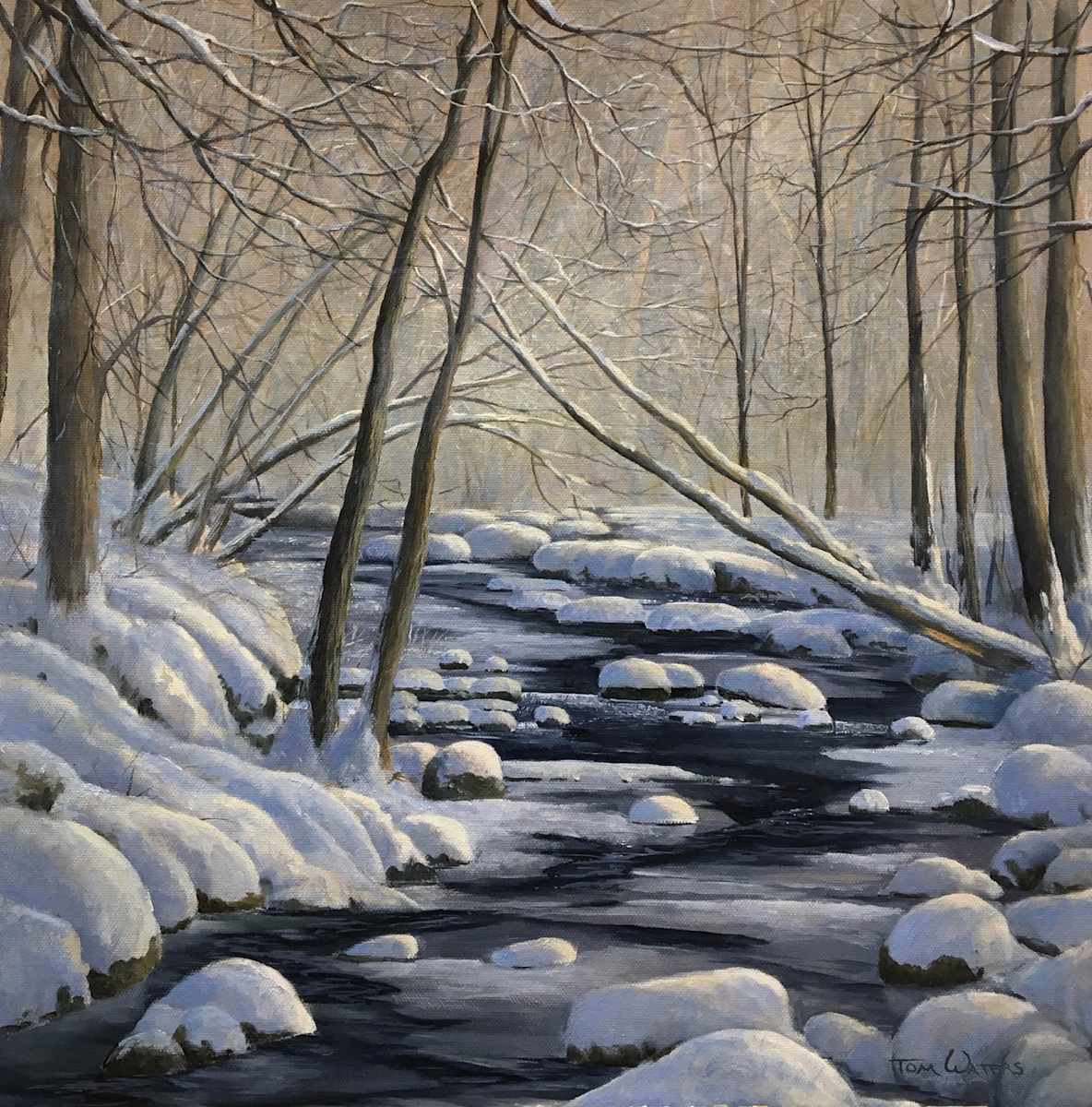 Snowy Woodland Stream by Thomas Waters, Image 2.