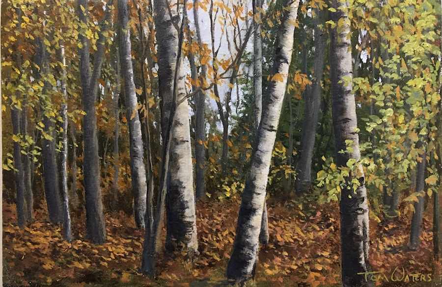 Into The Woods by Thomas Waters, Image 1.