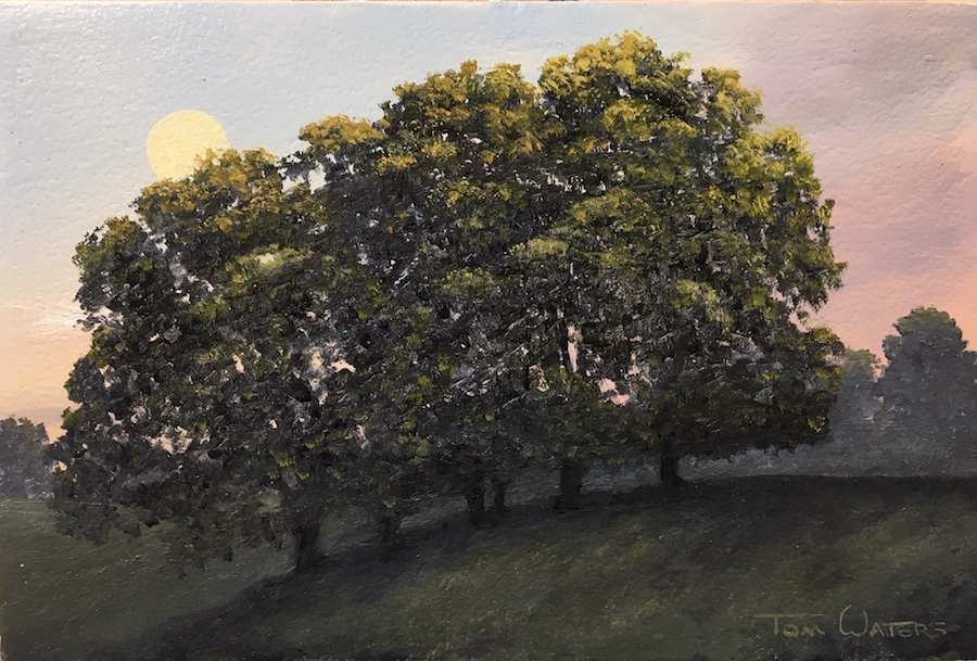 June Moon by Thomas Waters, Image 1.