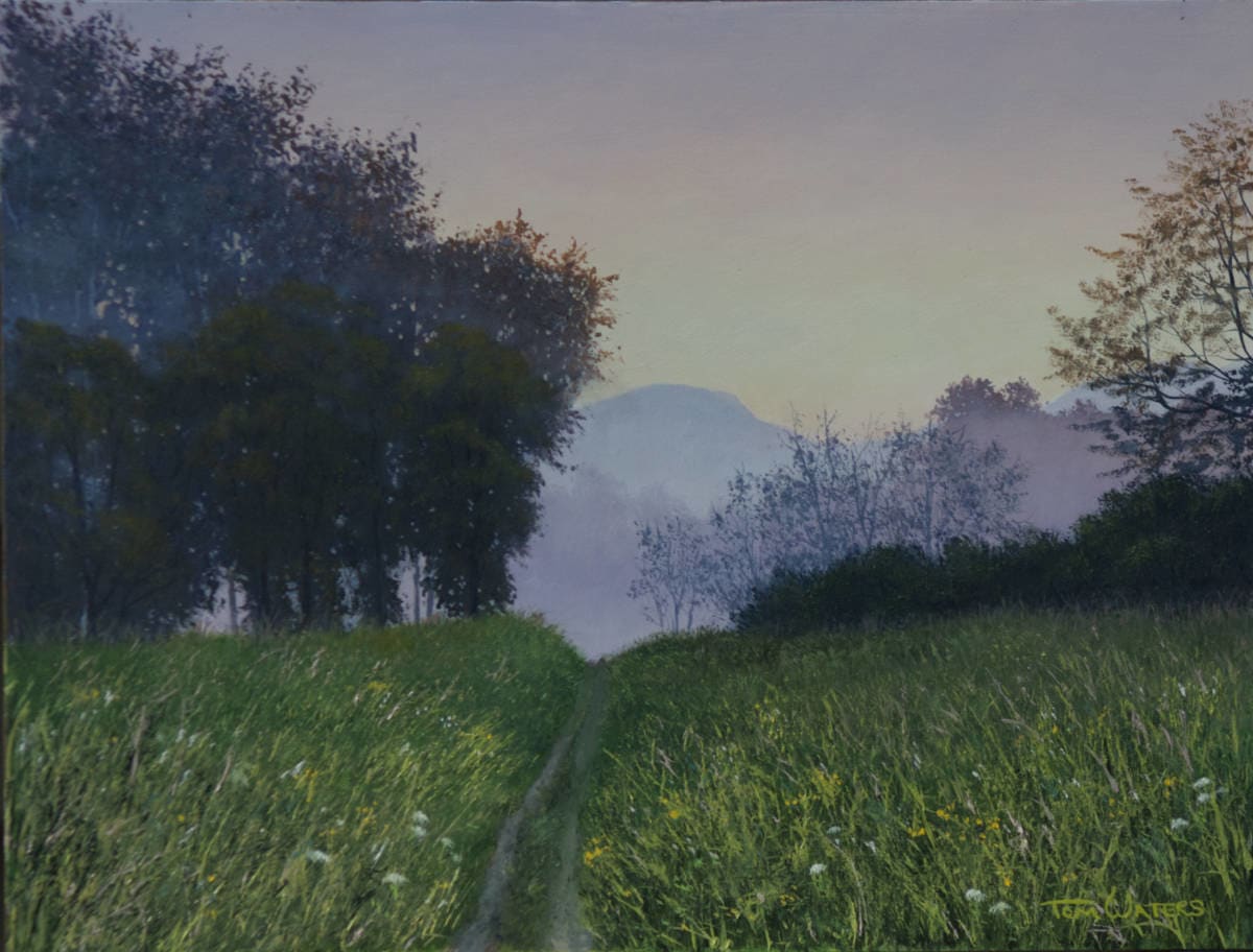 Misty Morning Walk, Image 1.