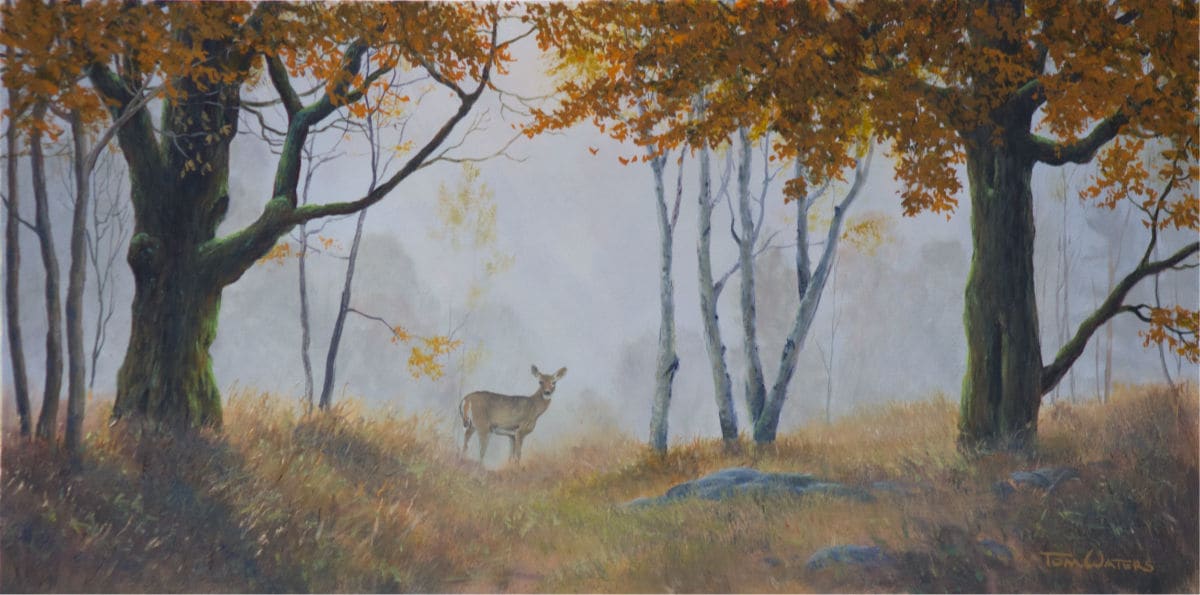Morning Deer, Image 1.