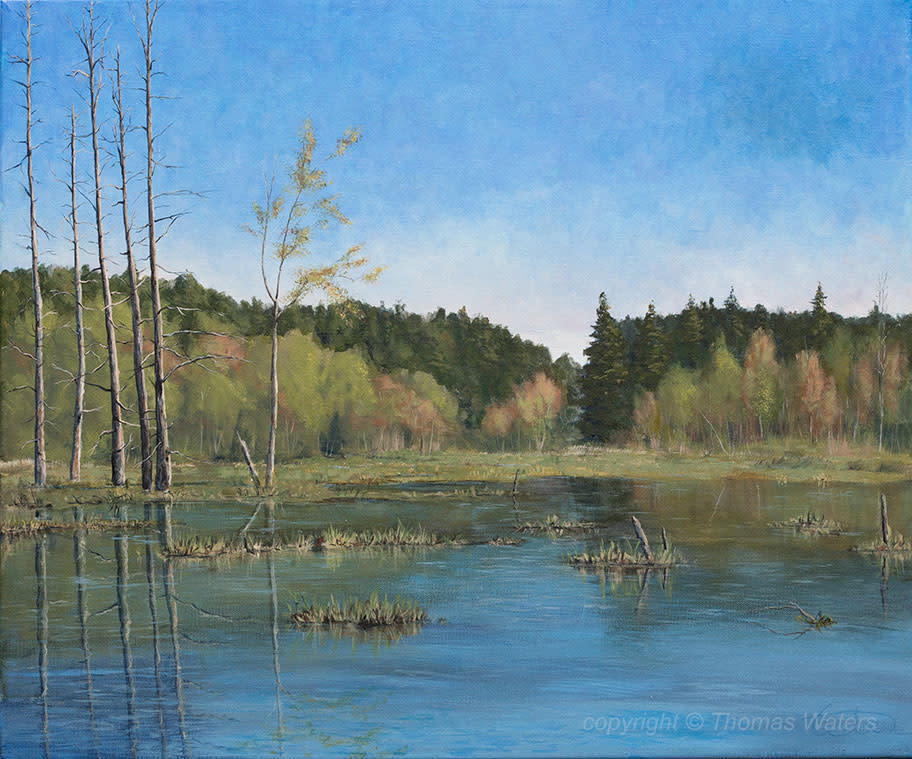 Old Guard - Underhill Flats by Thomas Waters 