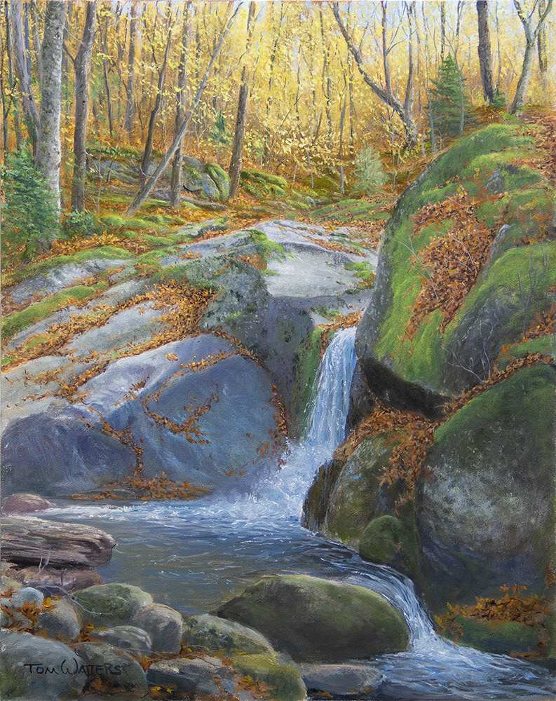 Sanctuary by Thomas Waters, Image 1.
