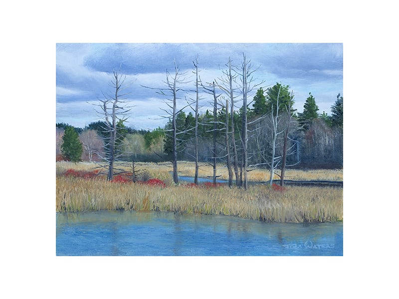 Still Standing by Thomas Waters, Image 1.