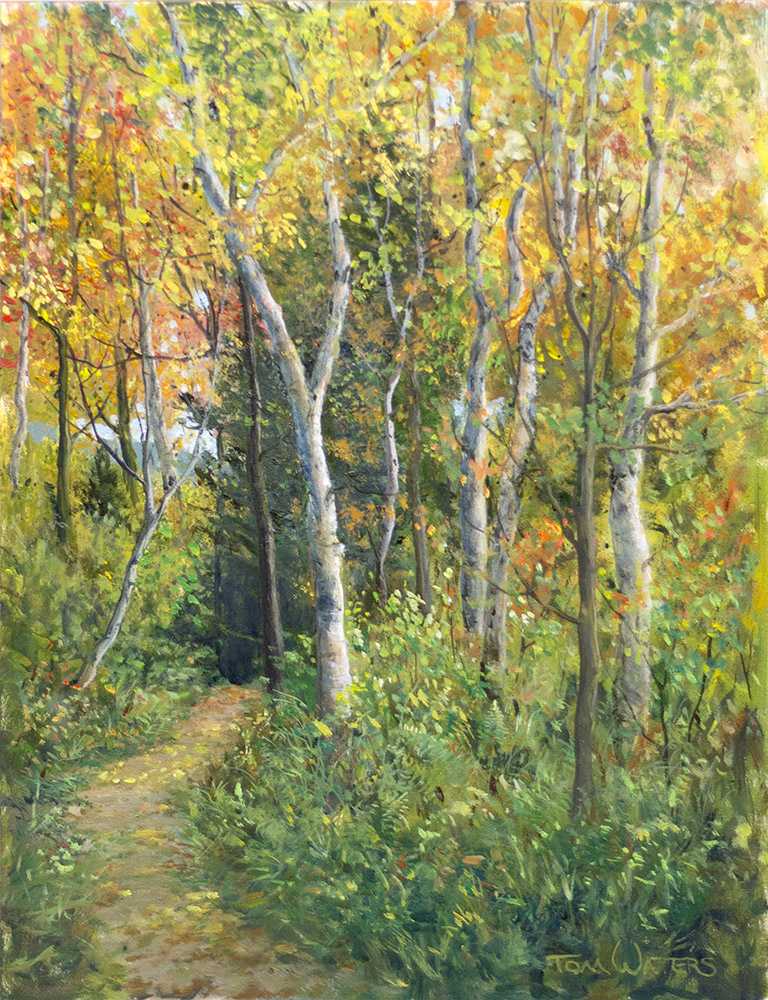Through the Soft Woods by Thomas Waters, Image 1.