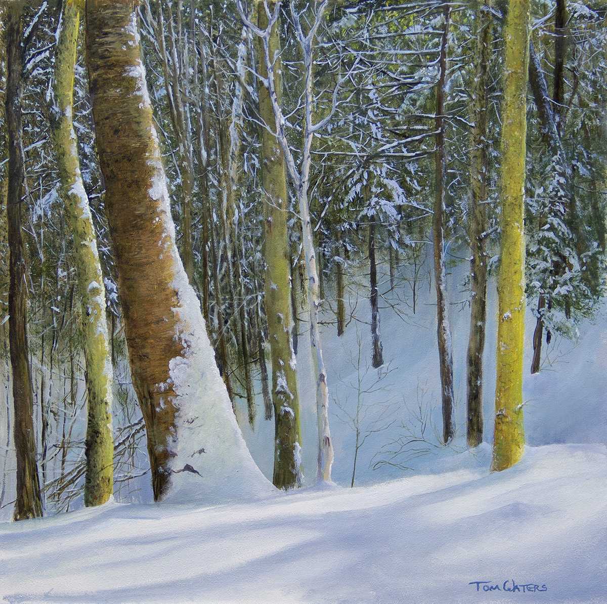 Winter Light by Thomas Waters, Image 1.