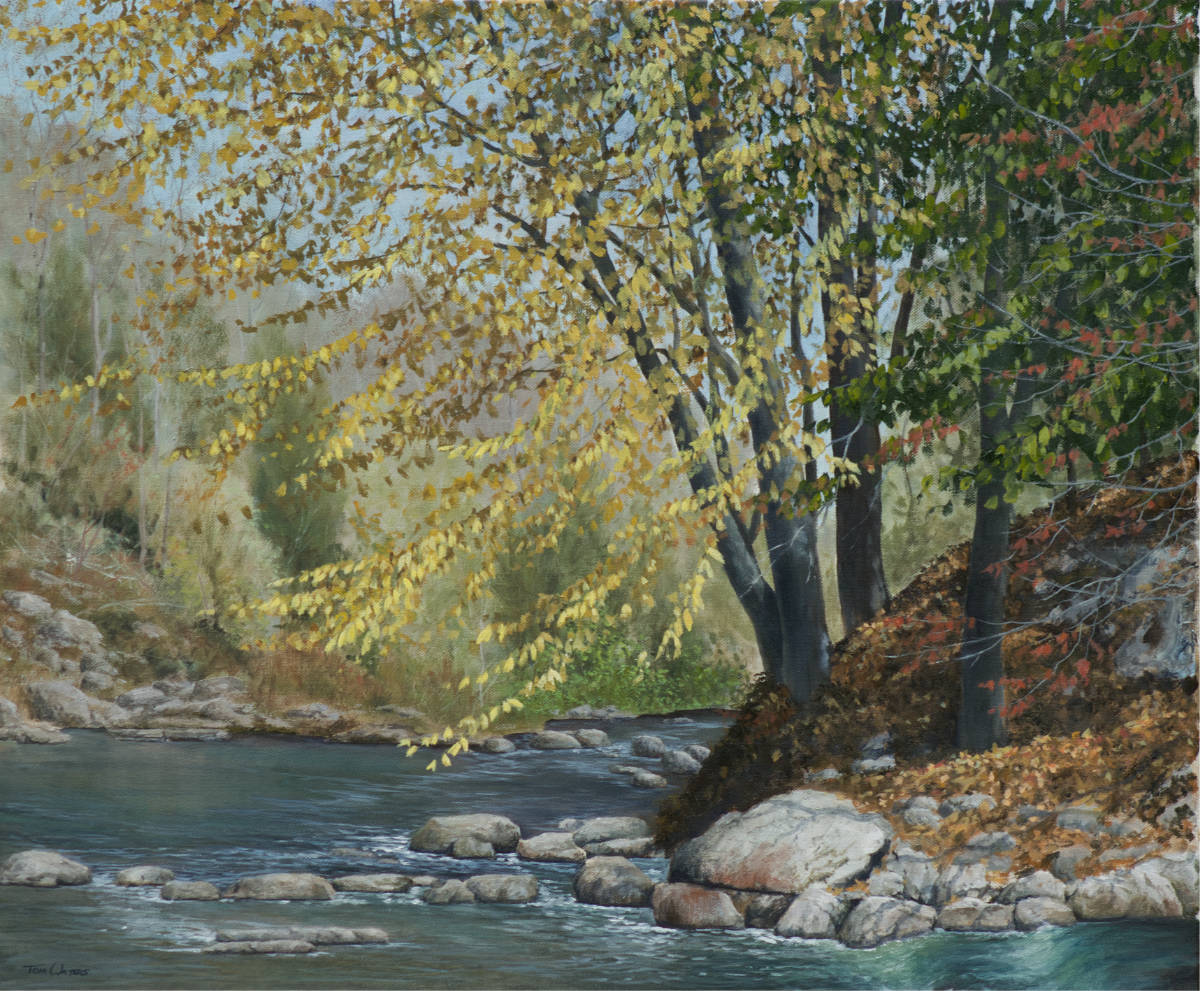 Autumn on the Brewster River by Thomas Waters 