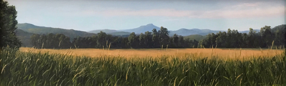 Camel's Hump Summer View by Thomas Waters 