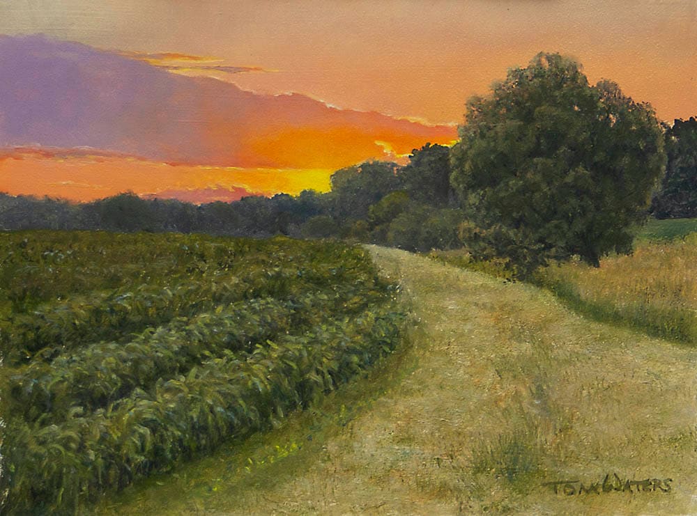 Evening Glow by Thomas Waters, Image 1.