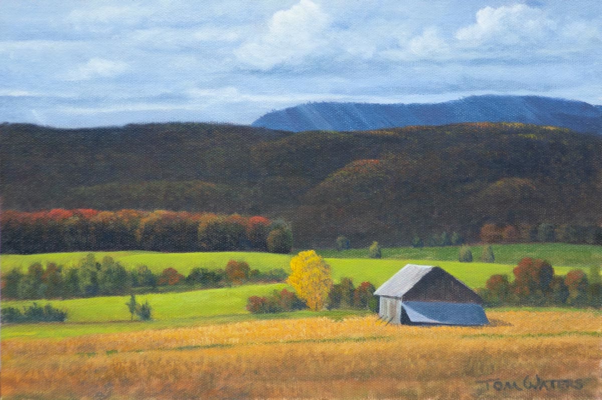 Lone Shed 