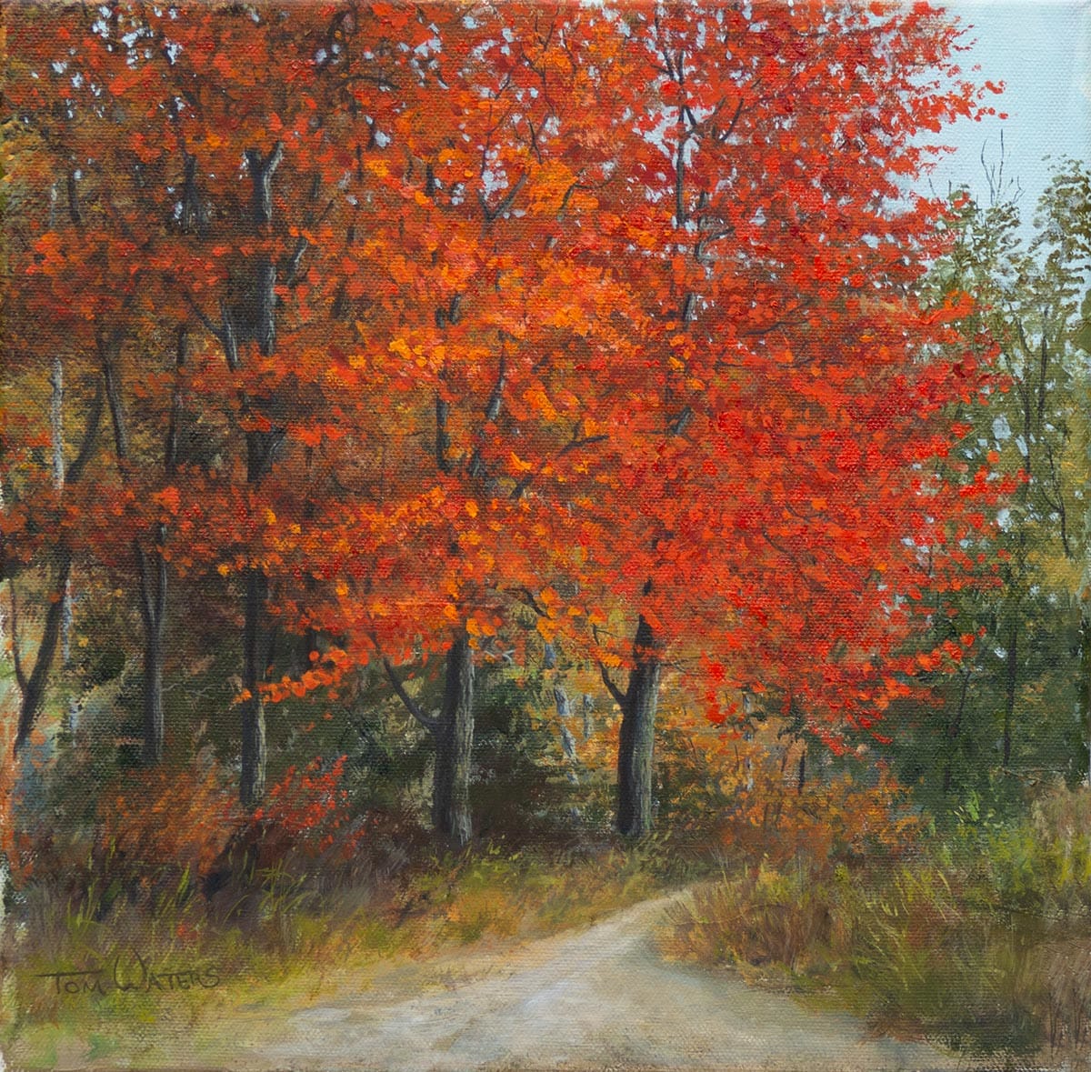 Path to the Woods, Image 1.