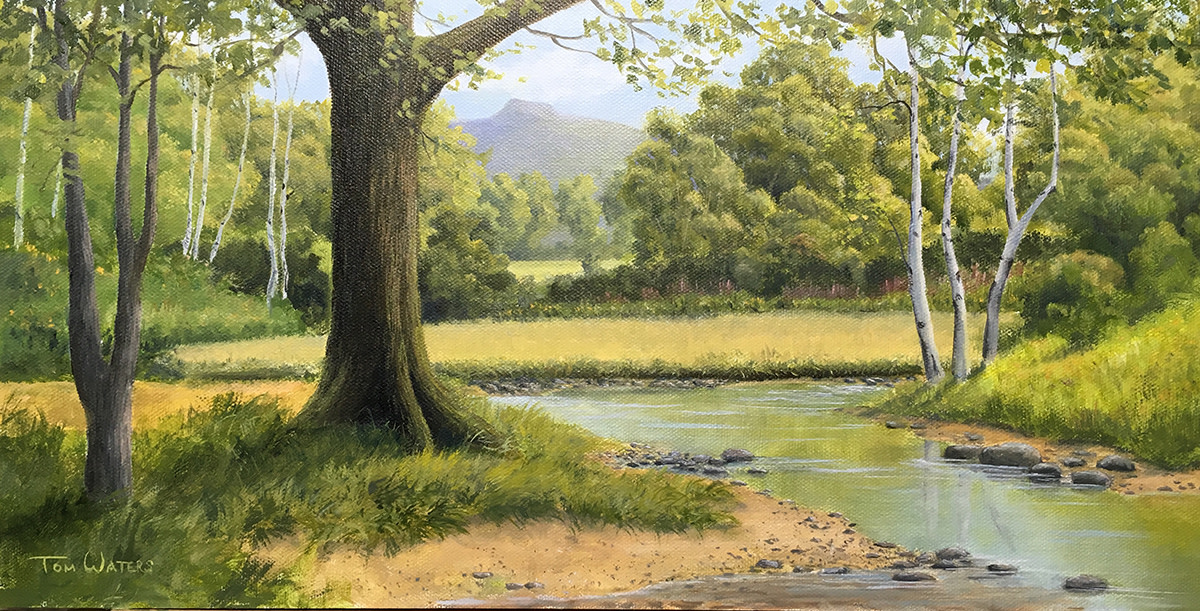 Serene Summer Stream by Thomas Waters, Image 1.