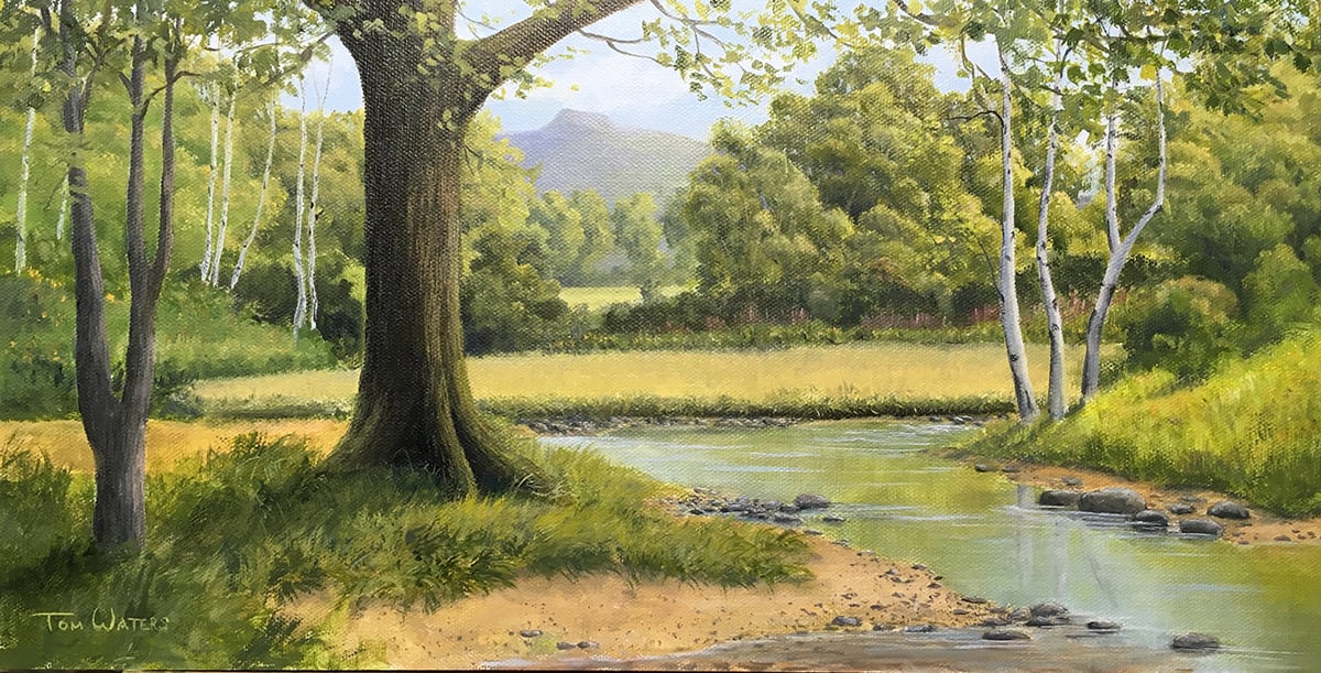 Serene Summer Stream by Thomas Waters, Image 1.