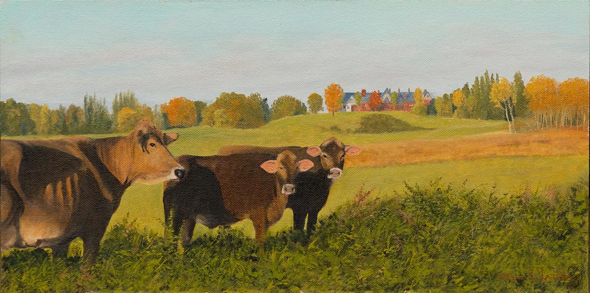 Shelburne's Finest by Thomas Waters, Image 1.