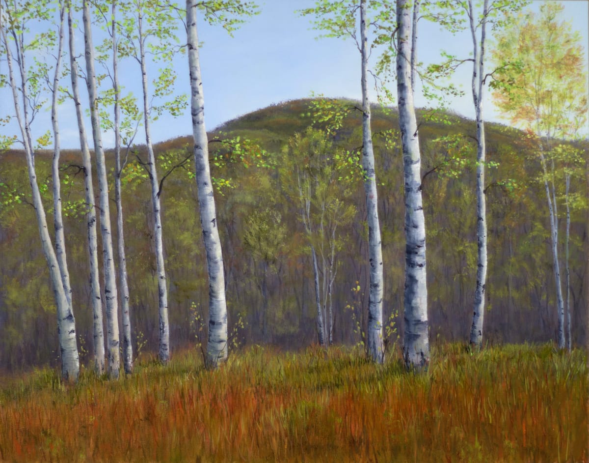Signs of Spring by Thomas Waters, Image 1.