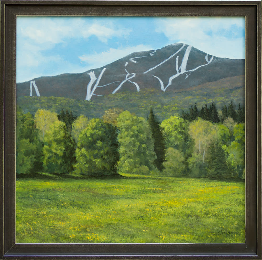 Spring Skiing, Sugarbush by Thomas Waters 