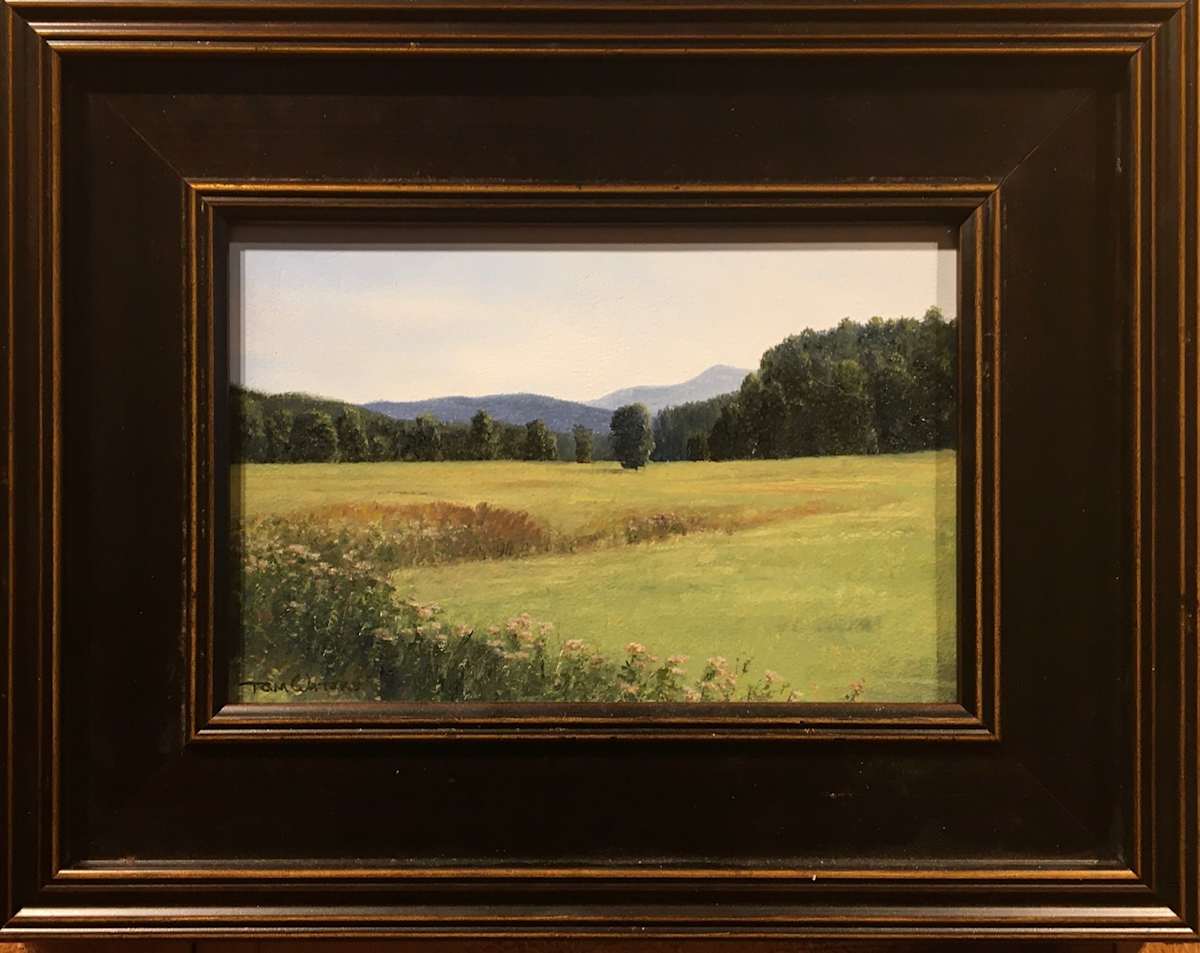 Summer Fields by Thomas Waters, Image 1.