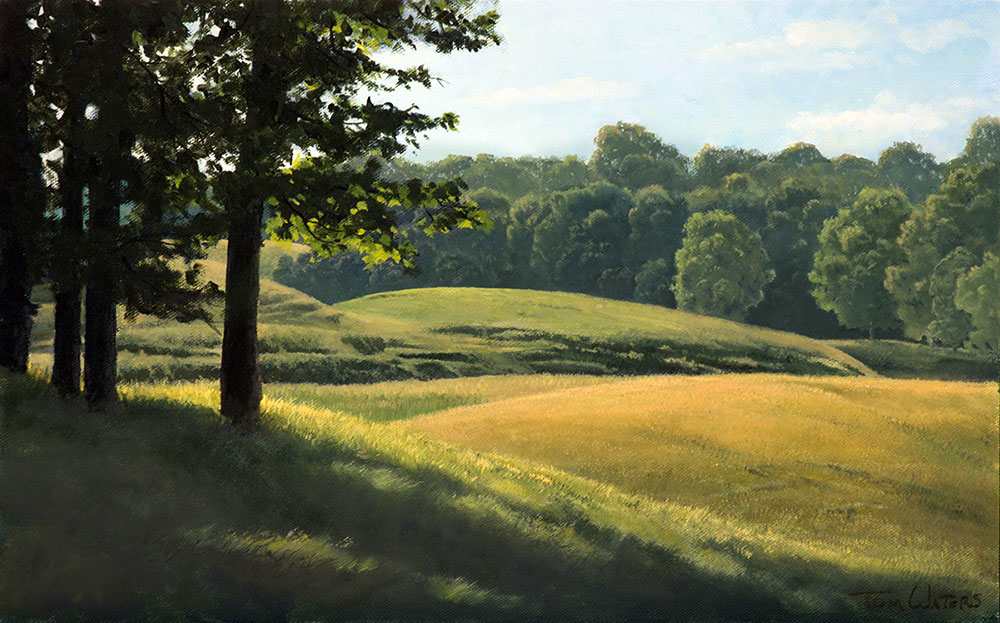 Sun & Shadows, Fields & Trees by Thomas Waters, Image 1.