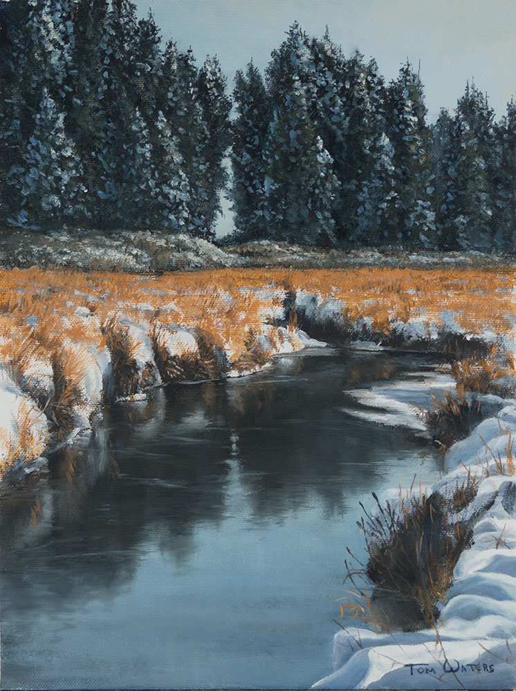 Winter Marsh Study I by Thomas Waters, Image 1.