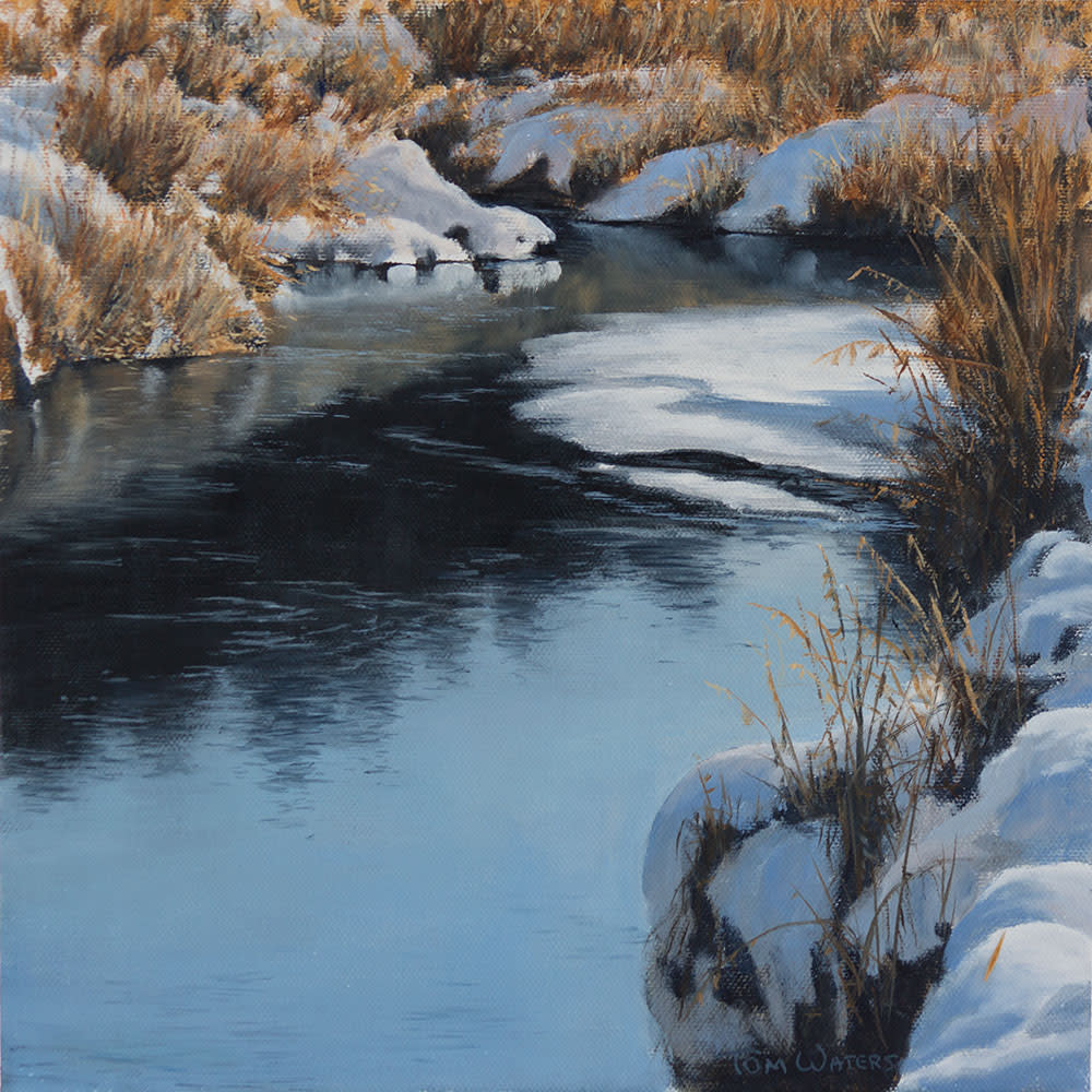 Winter Marsh Study II by Thomas Waters 