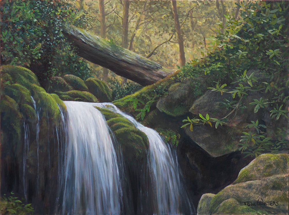 Woodland Waterfall by Thomas Waters 
